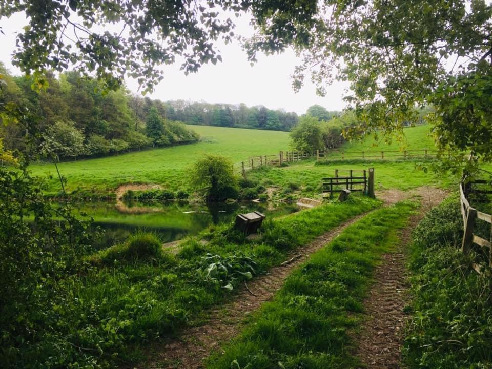 Holly Cottage, Hidden Gem In The Yorkshire Wolds Welton  Zewnętrze zdjęcie